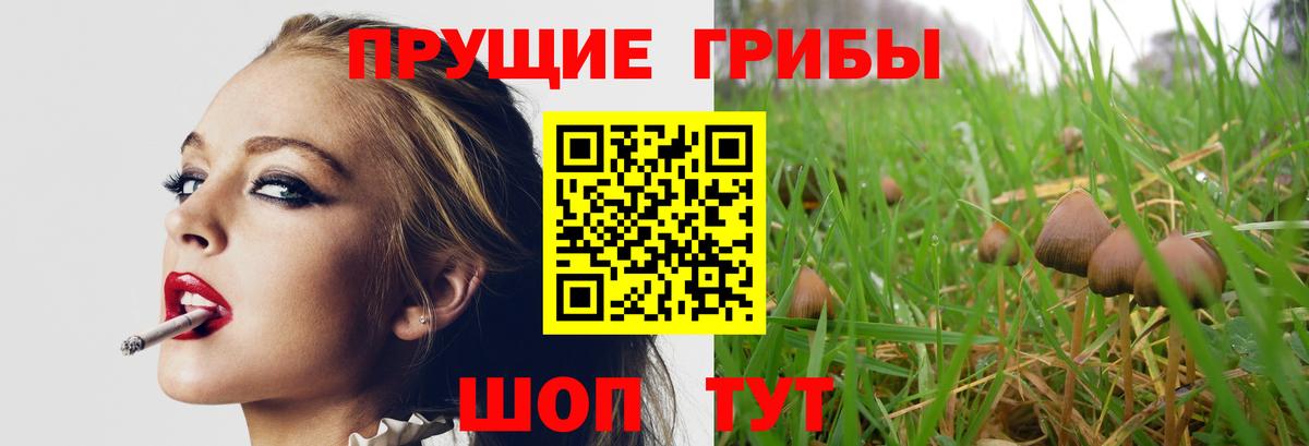 Екатеринбург  Галлюциногенные грибы MAGIC MUSHROOMS  как найти наркотики  Вход с VPN 